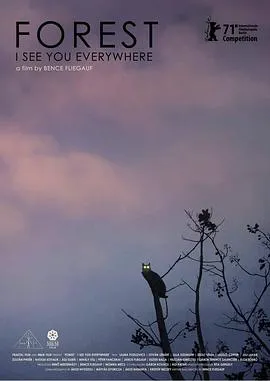 绿色的远方